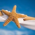 A person holding a starfish in their hand