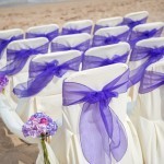 A bunch of chairs with purple bows on them