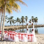A beach wedding near palm trees
