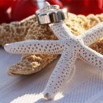 Wedding rings on starfish