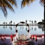 A wedding with an arch near palm trees