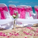 A row of white chairs with pink bows on the beach.