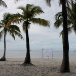 A beach with three palm trees and one soccer goal.