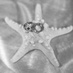 A black and white photo of two wedding rings on top of a starfish